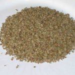caromseed