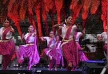 Swan Festival of Lights 2018