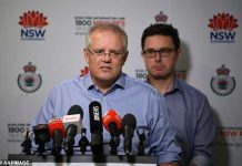 Commonwealth public servants who volunteer will be given extra leaves to fight bushfires. PM and the leaders are getting paid leave if they volunteer for firefighters in NSW