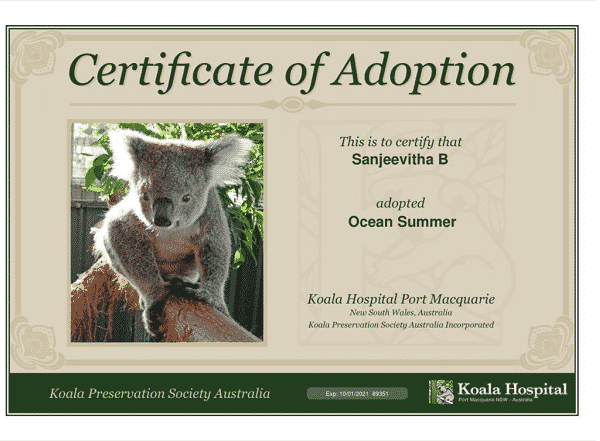 adoption certificate of ocean summer