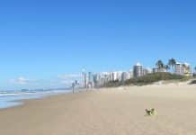 The Gold Coast – Australia’s Good Time Capital