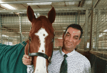 Melbourne Cup 2020: Indian trainer makes $500,000 win trainer Julius Sandhu