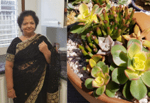 Selling succulents for leprosy relief in India Preeti swarikar, succulents, charity, leprosy patients
