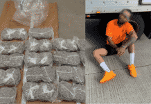 Indian national charged after seizure of 127 kgs of cannabis indian national drugs