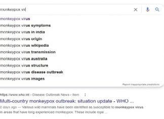 google search for monkeypox